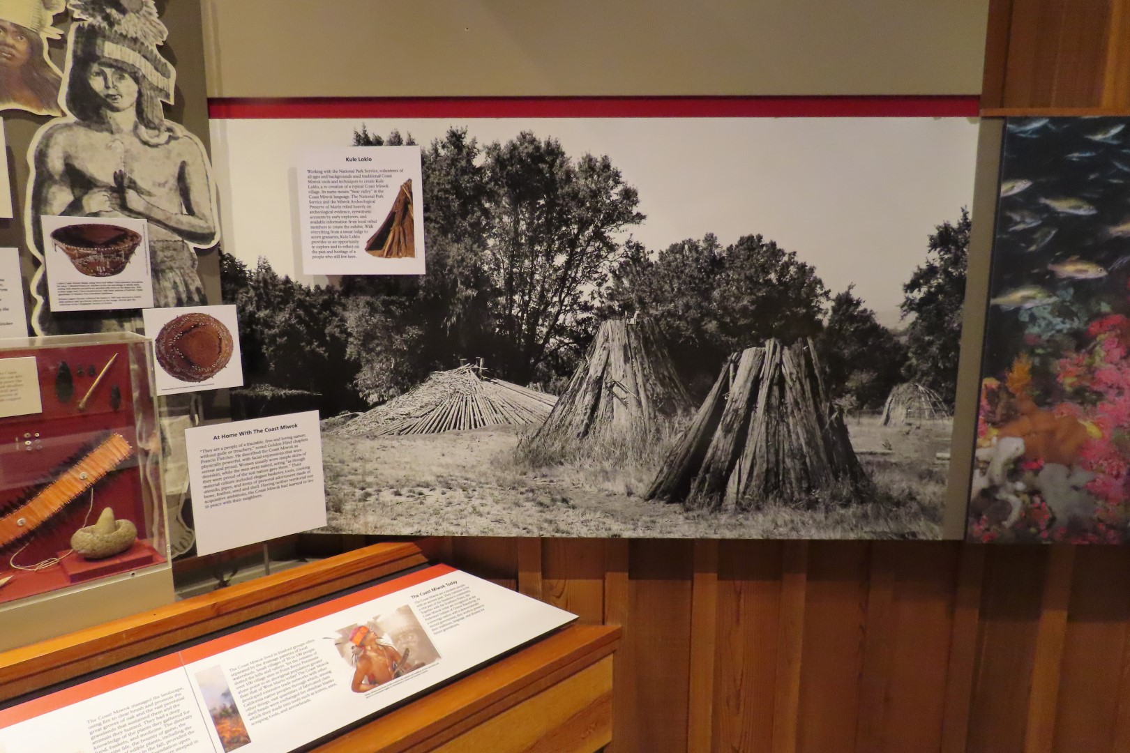 Point Reyes National Seashore in California 23 of 40 (#5977)