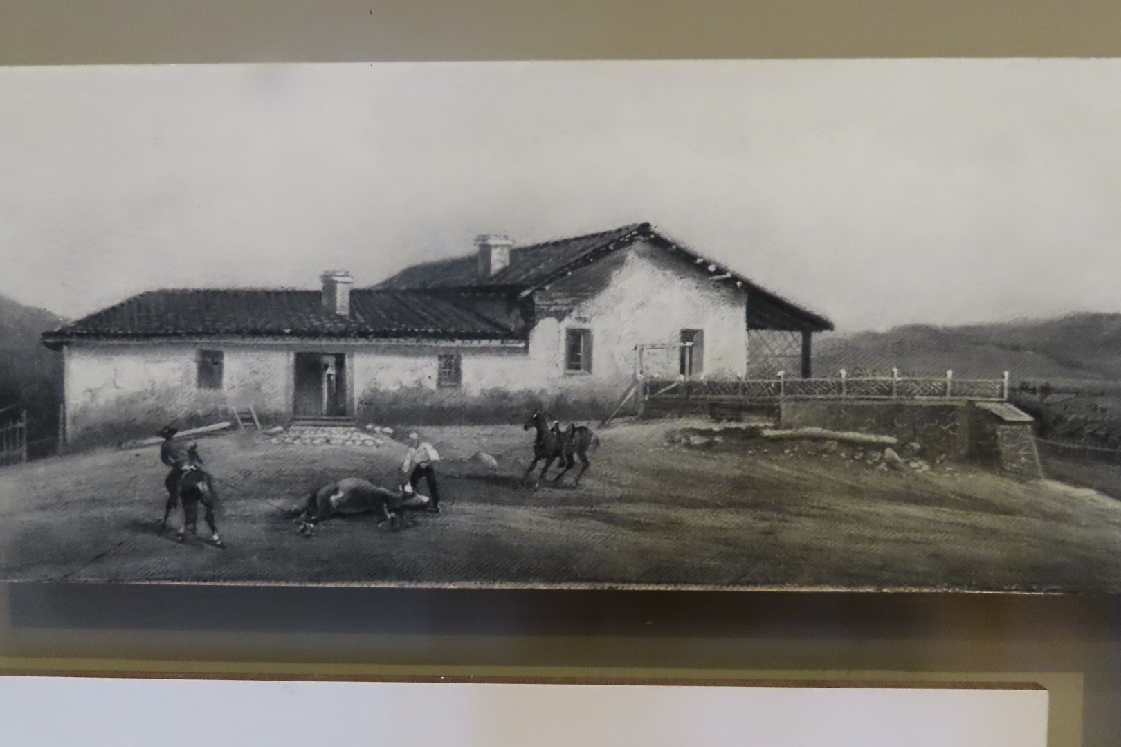 Point Reyes National Seashore in California 32 of 40 (#5986)