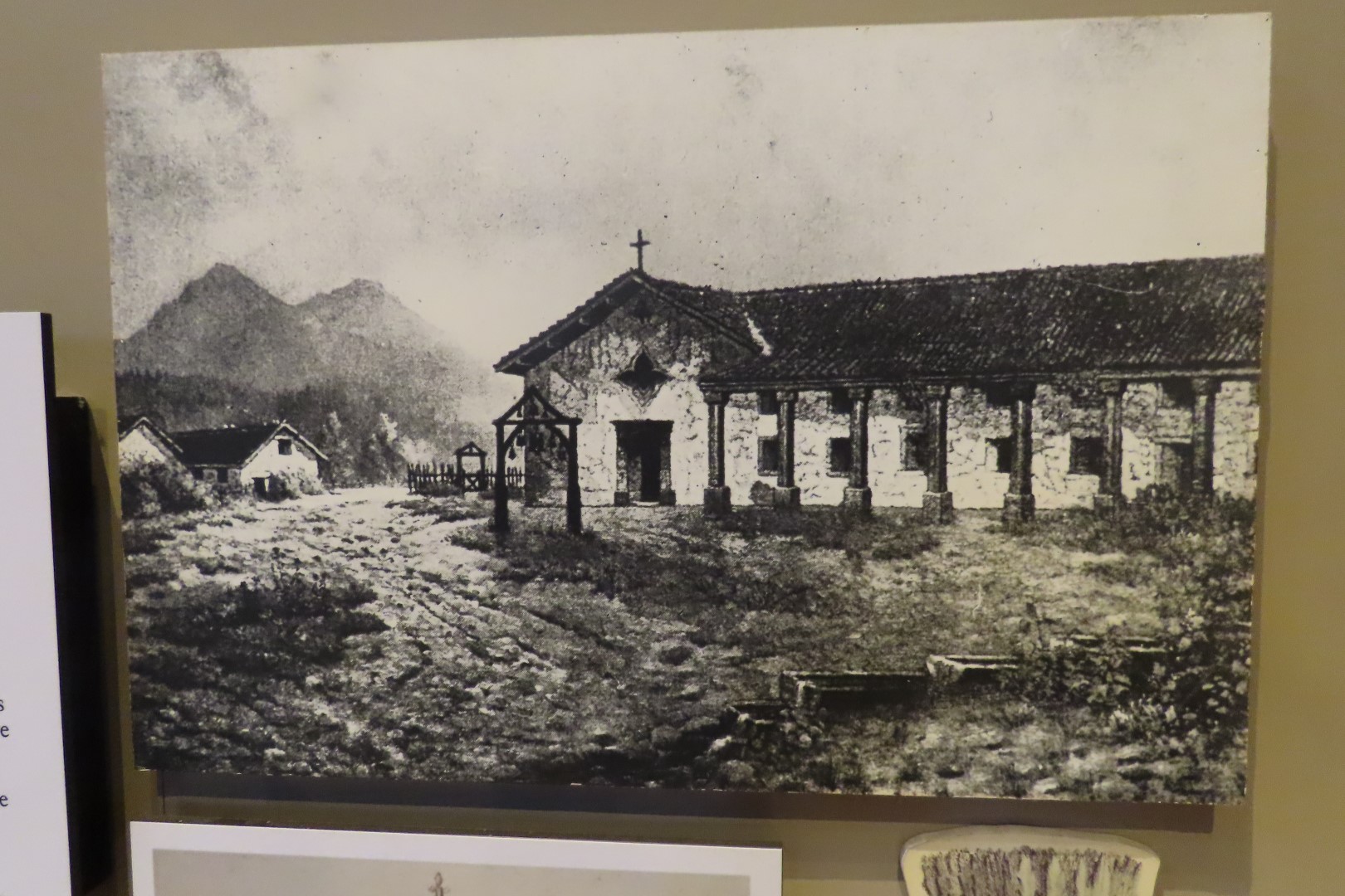 Point Reyes National Seashore in California 34 of 40 (#5988)