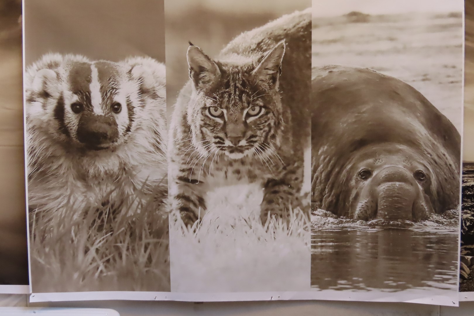 Point Reyes National Seashore in California 39 of 40 (#5993)