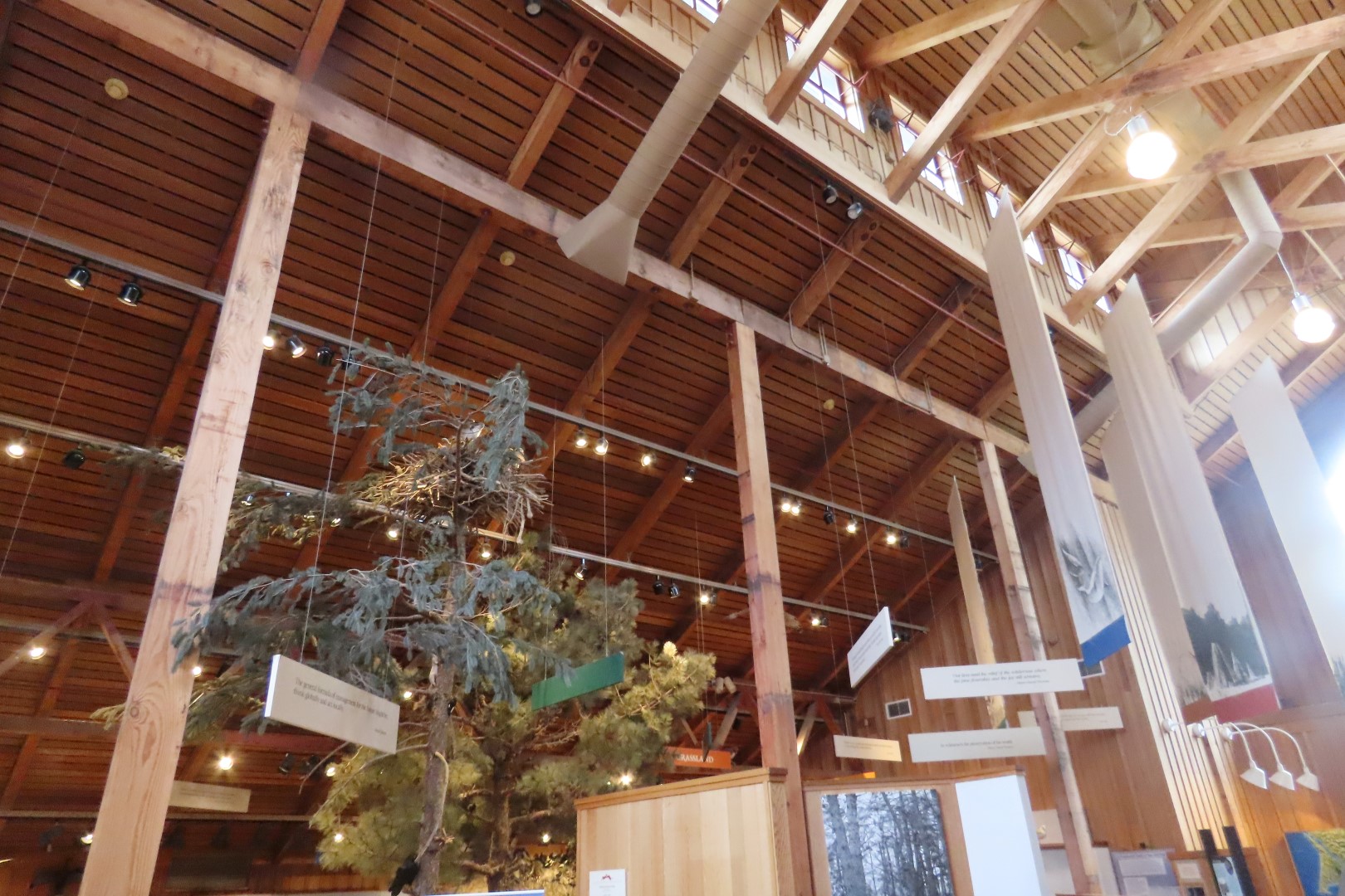 Point Reyes National Seashore in California 40 of 40 (#5994)