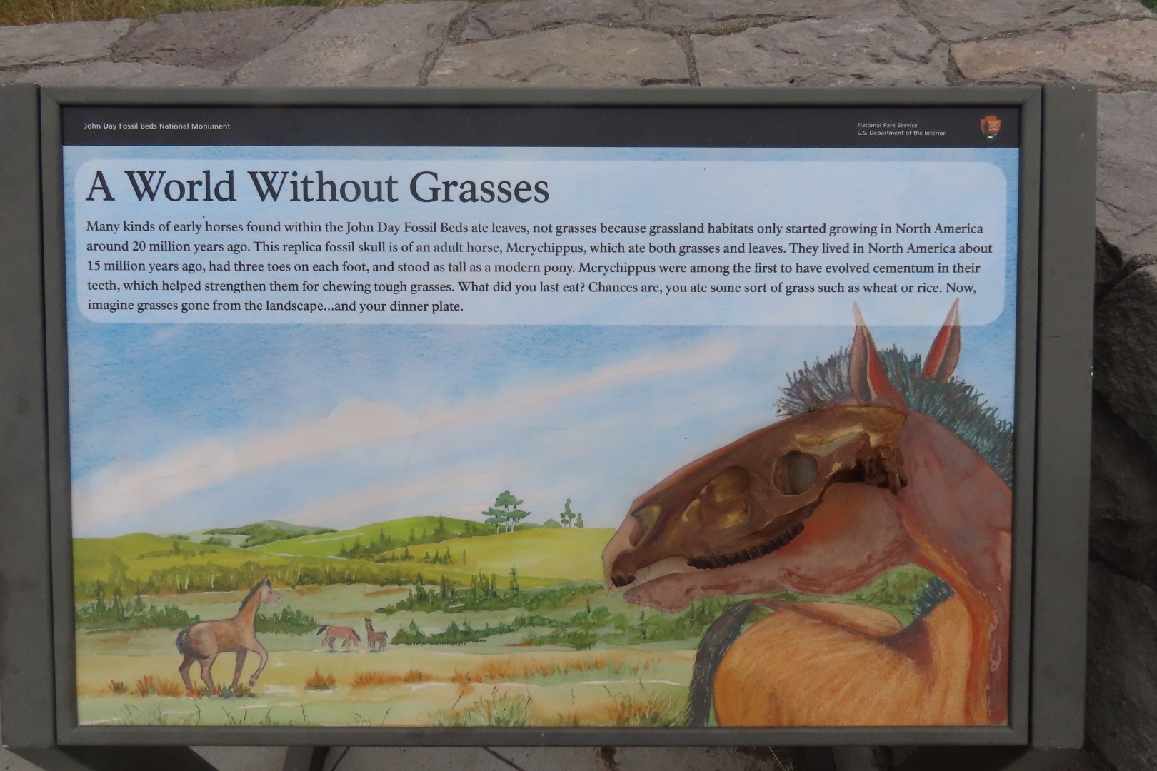 John Day Fossil Beds National Monument in Oregon  7 of 14 (#6030)