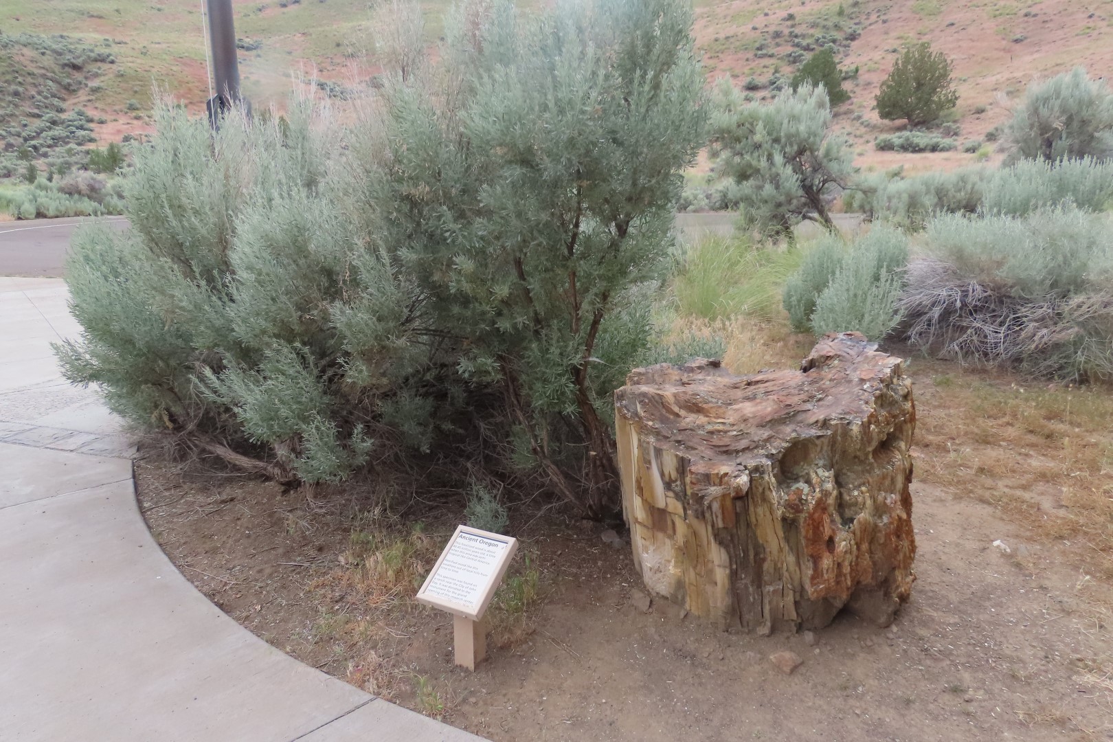 John Day Fossil Beds National Monument in Oregon 12 of 14 (#6035)