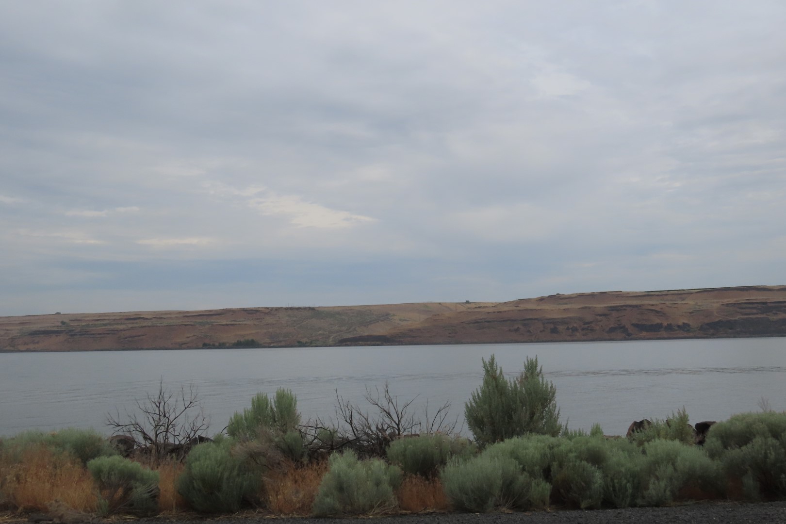 Along Highway 19 in Oregon  4 of  9 (#6042)