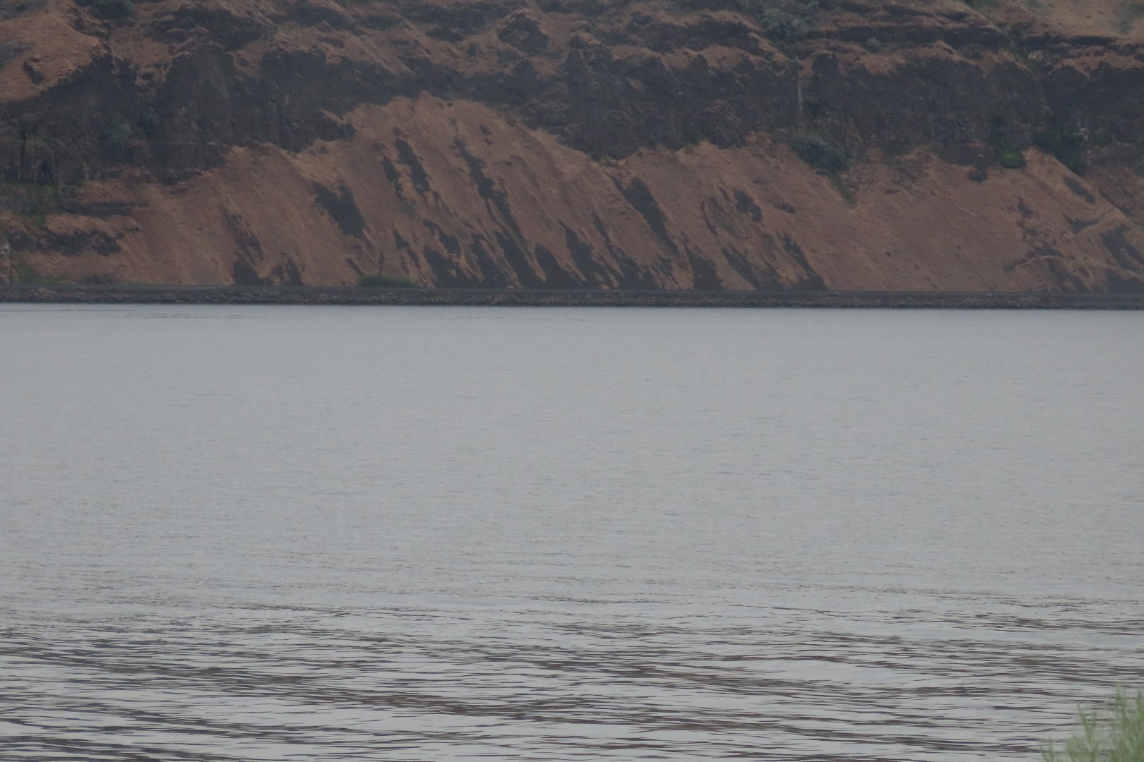 Along Highway 19 in Oregon  8 of  9 (#6047)