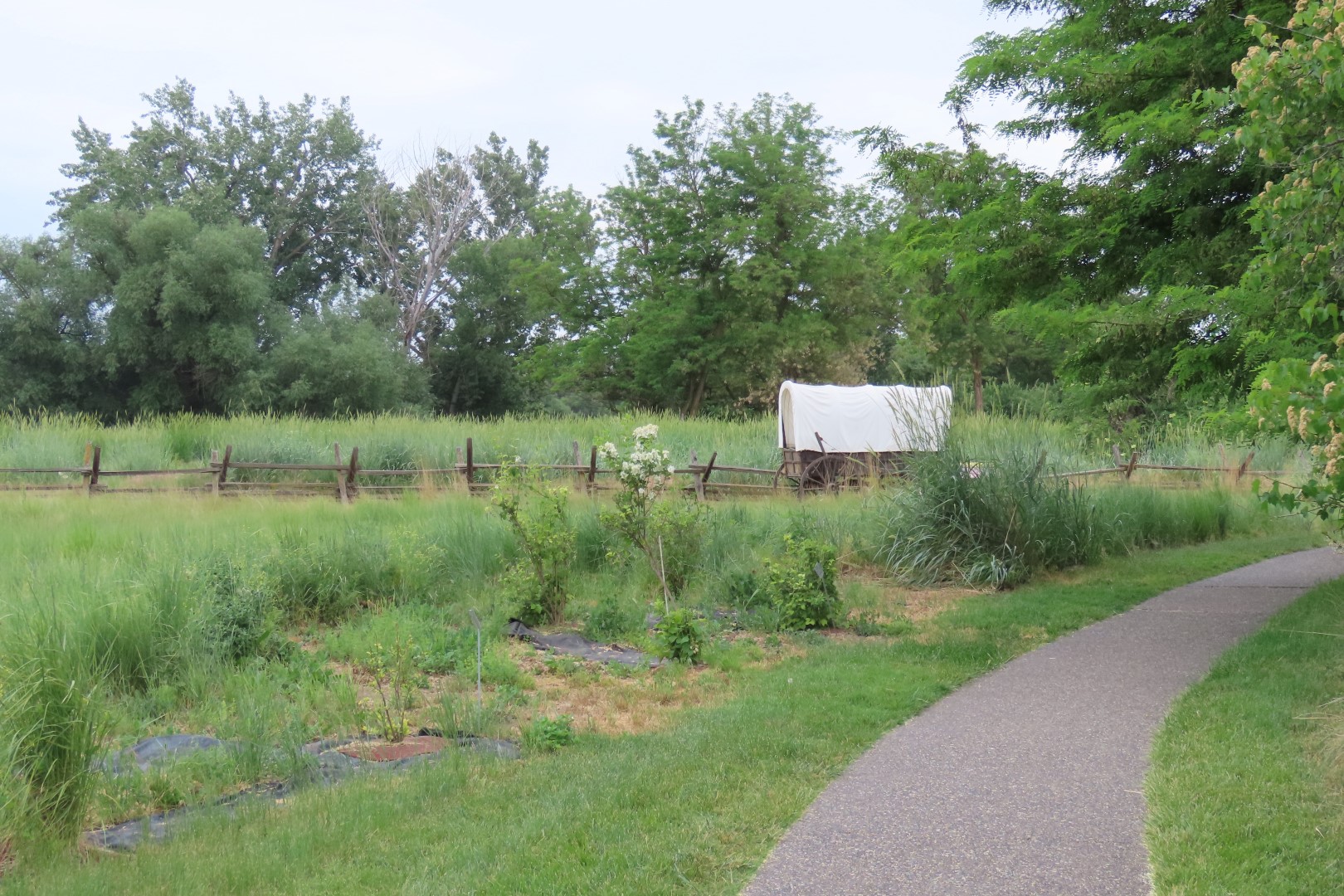 Whitman Mission National Historic Site in Washington 58 of 67 (#6106)