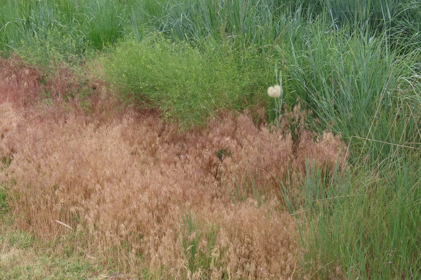 Whitman Mission National Historic Site in Washington 63 of 67 (#6111)