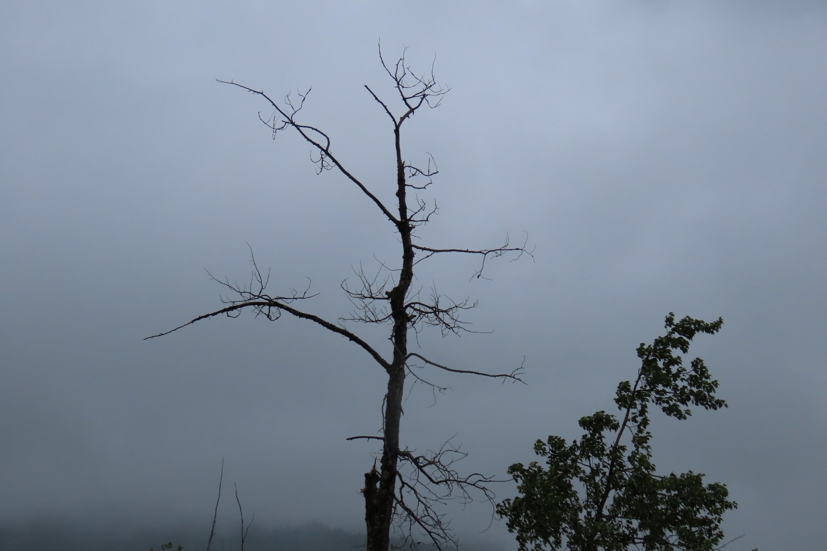 Keechelus Lake along I-90 in central Washington  5 of  7 (#6126)