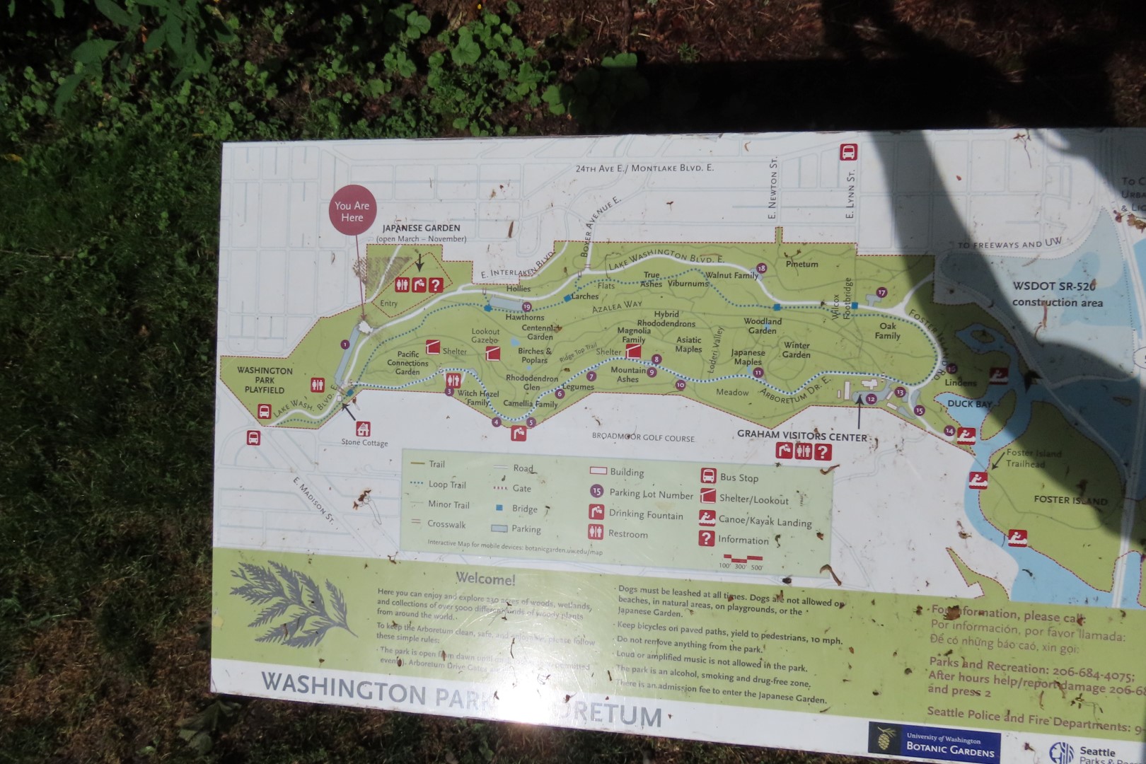 Japanese Garden in Seattle Washington  1 of 43 (#6141)