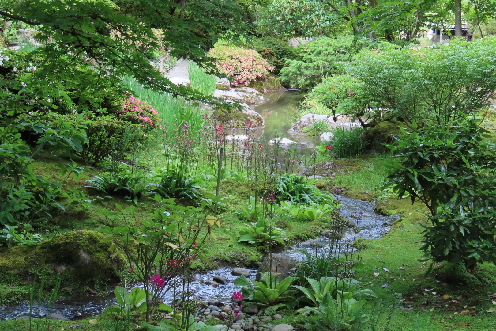 Japanese Garden in Seattle Washington 16 of 43 (#6158)