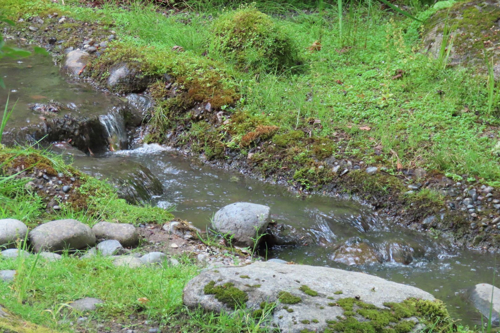 Japanese Garden in Seattle Washington 17 of 43 (#6159)