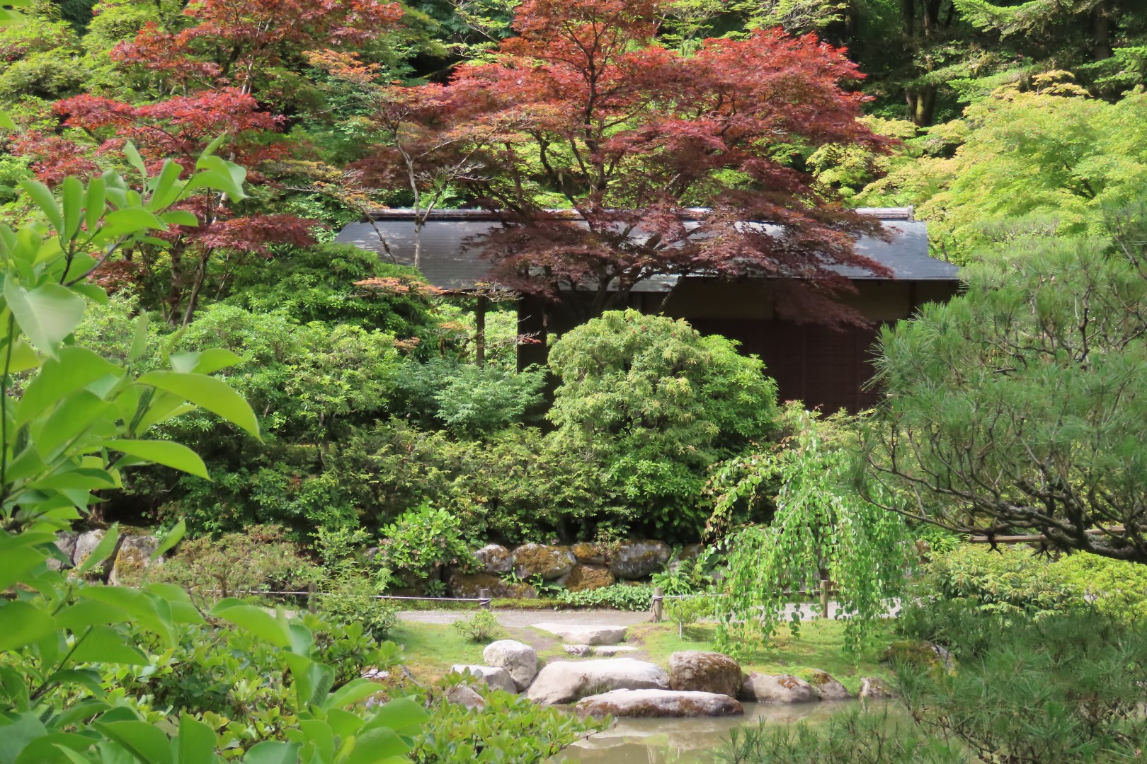 Japanese Garden in Seattle Washington 24 of 43 (#6166)