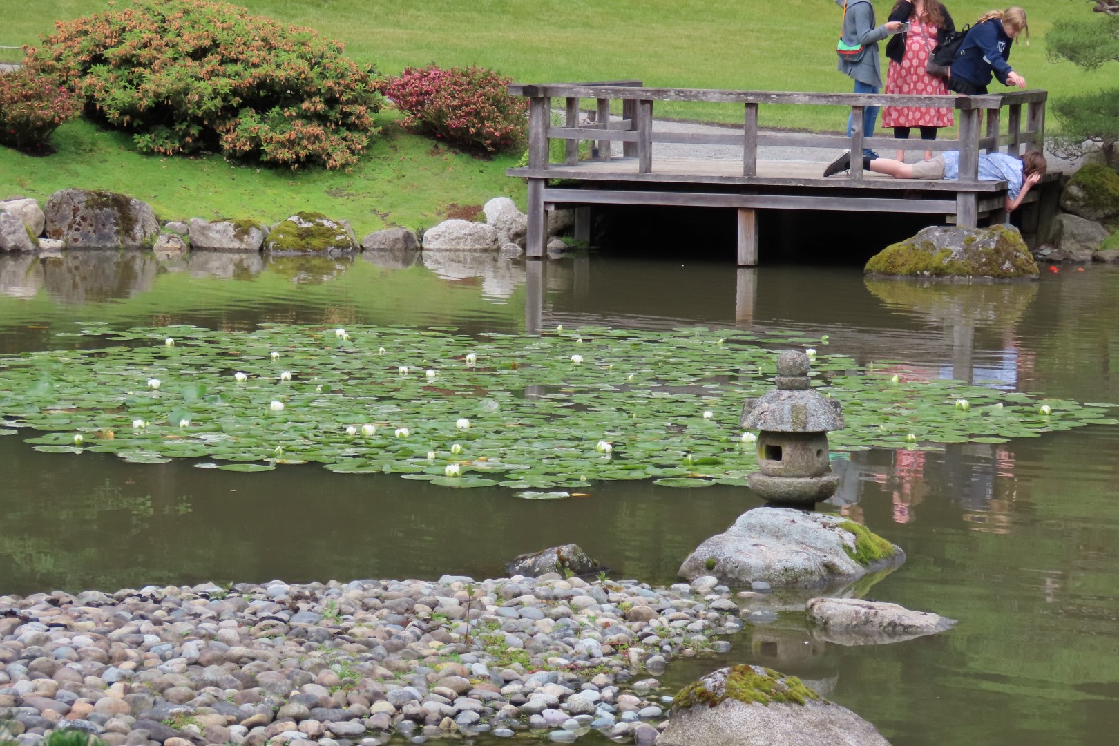 Japanese Garden in Seattle Washington 25 of 43 (#6167)