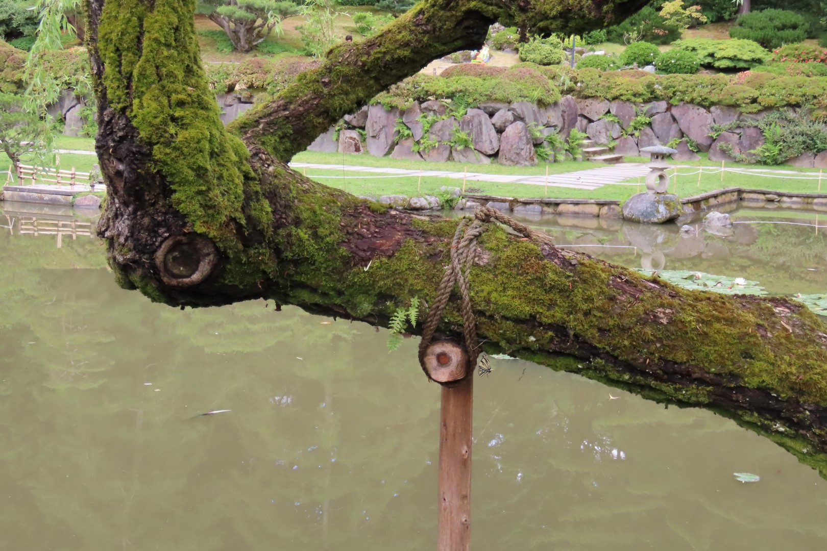 Japanese Garden in Seattle Washington 27 of 43 (#6169)