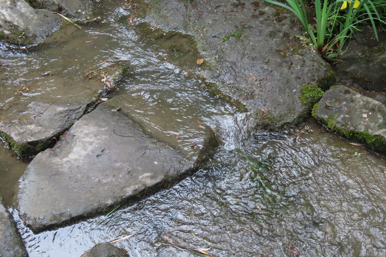 Japanese Garden in Seattle Washington 29 of 43 (#6171)