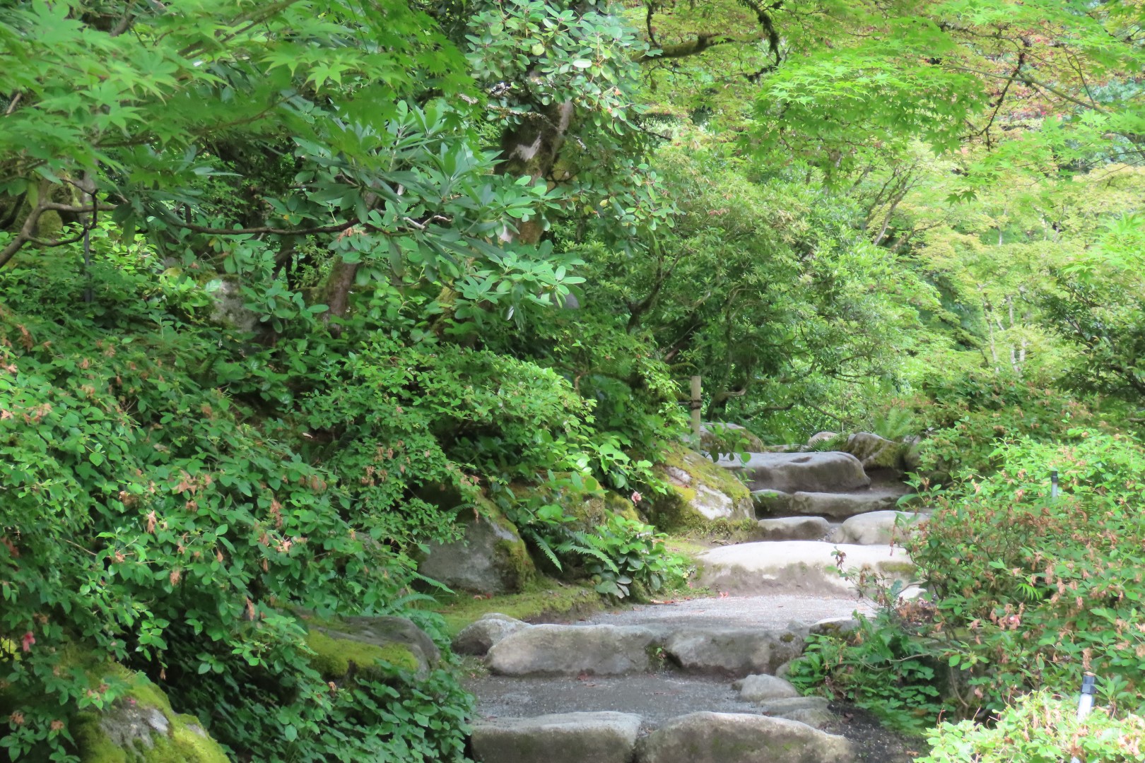 Japanese Garden in Seattle Washington 35 of 43 (#6177)