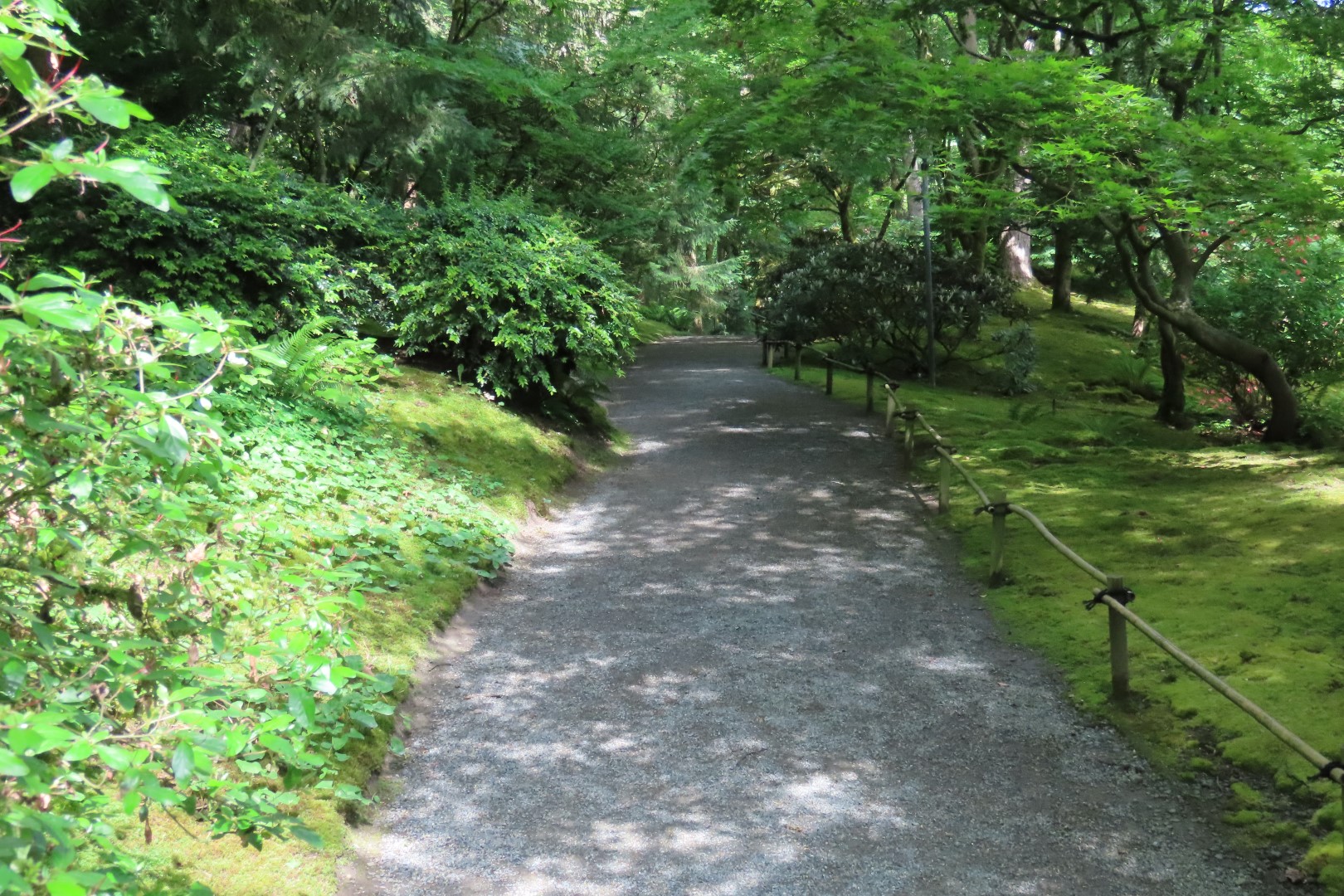 Japanese Garden in Seattle Washington 37 of 43 (#6179)