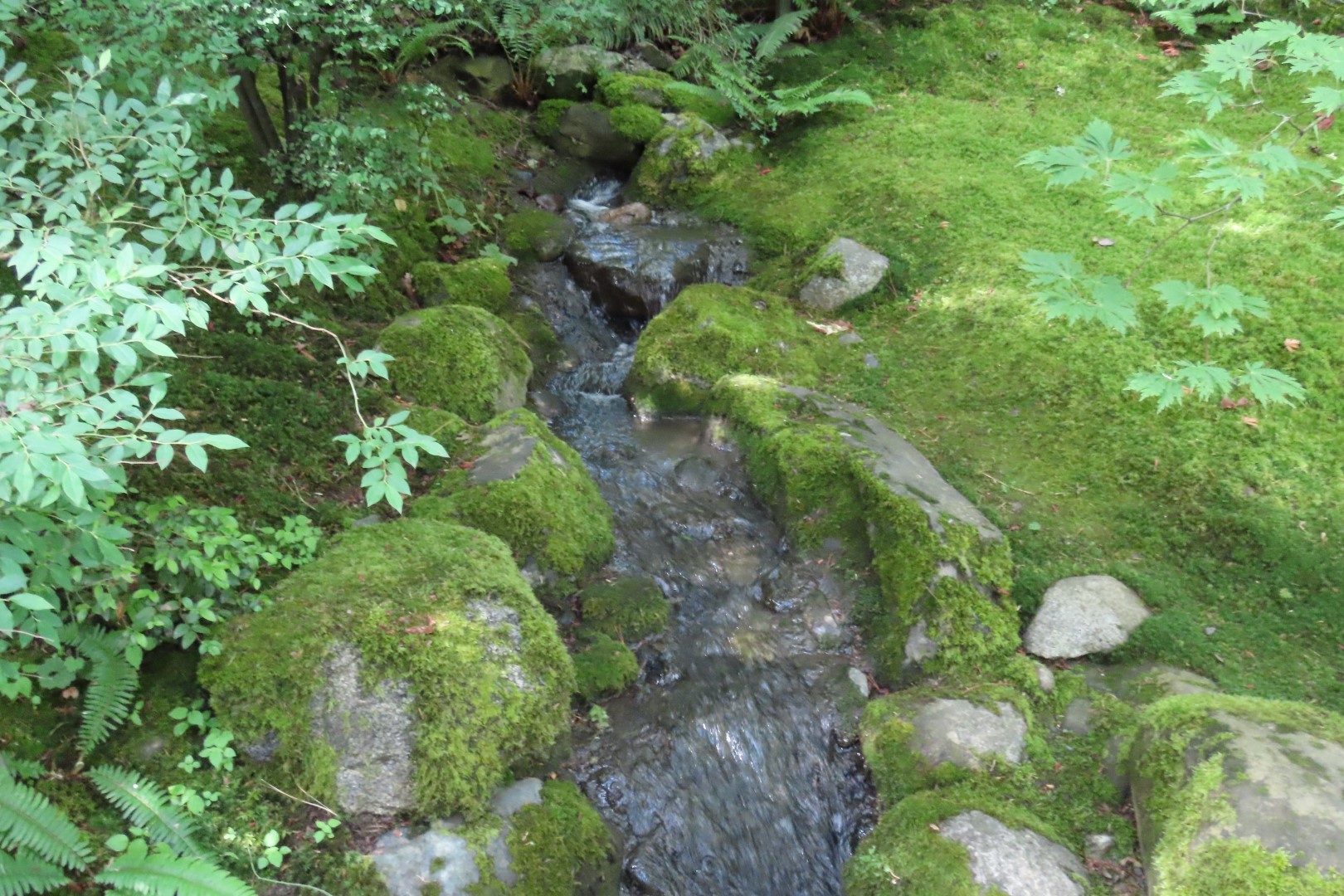 Japanese Garden in Seattle Washington 38 of 43 (#6180)