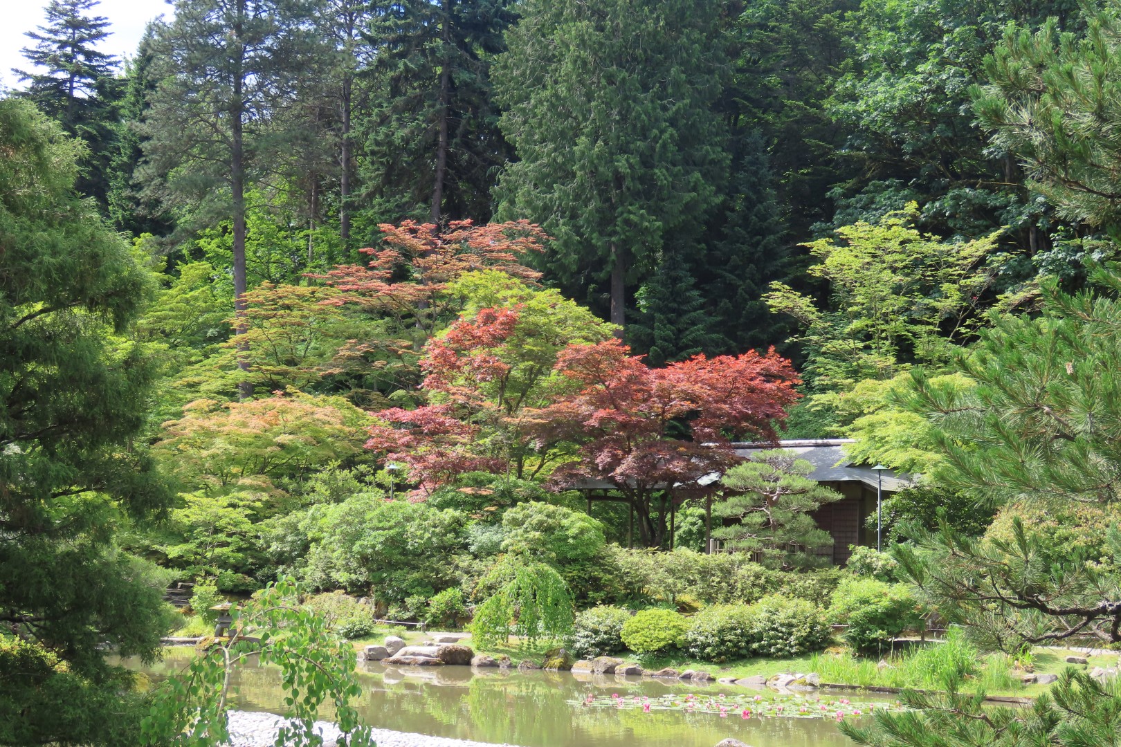 Japanese Garden in Seattle Washington 43 of 43 (#6185)