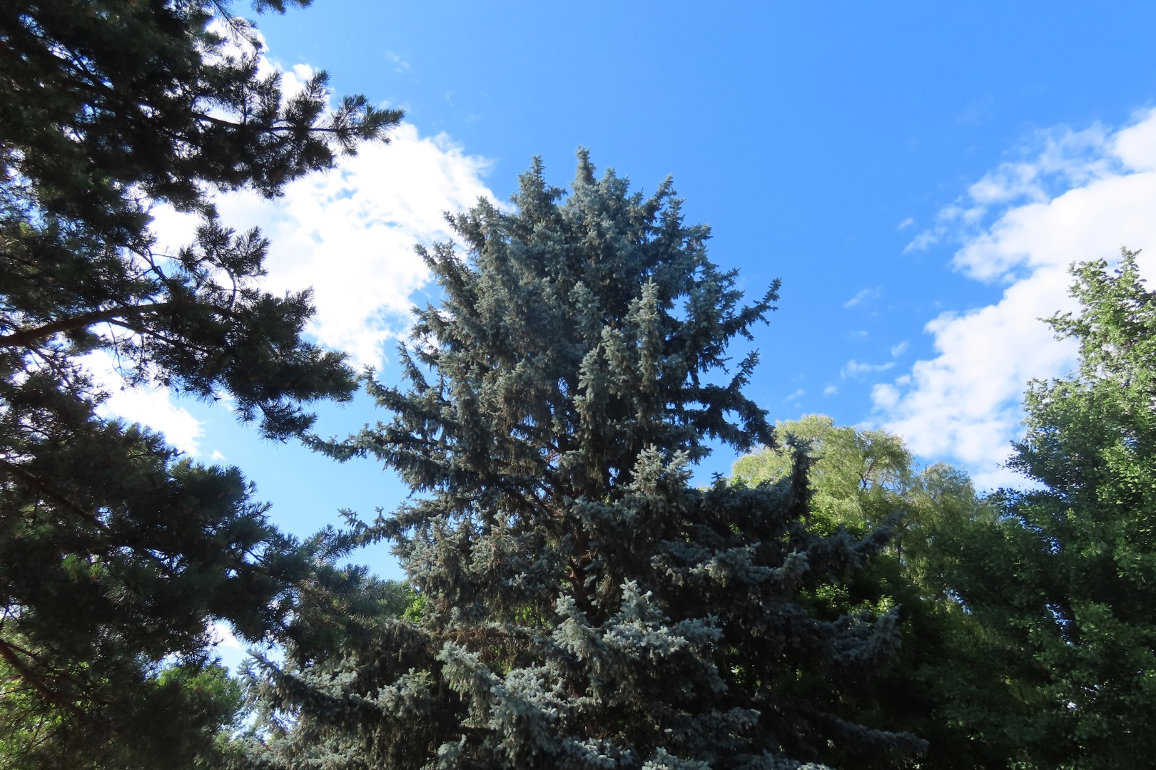 Riverside Park and adjacent sites in Kamloops British Columbia  5 of 13 (#6193)