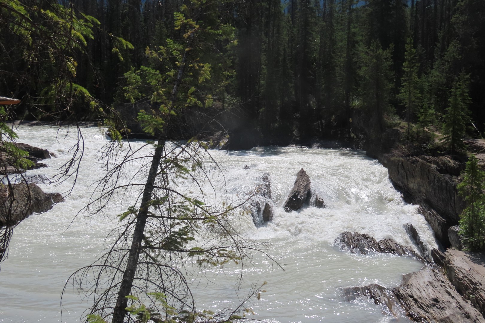 Lower Falls in Yoho National Park in Alberta Canada  1 of  6 (#6209)
