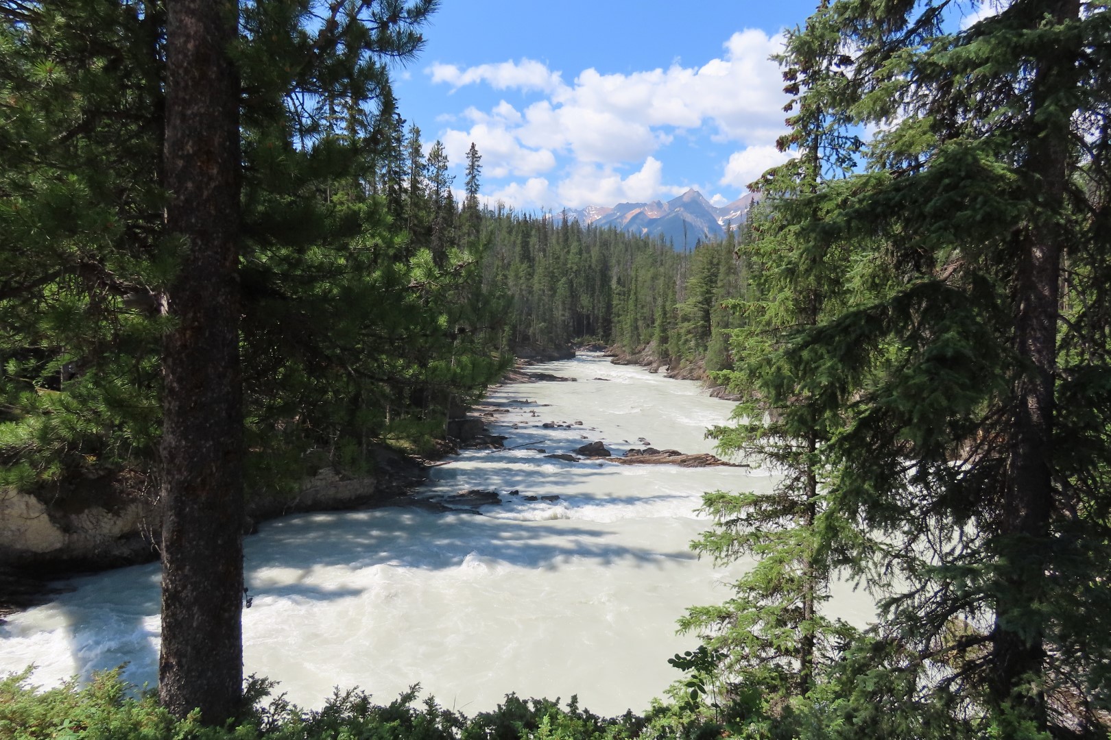 Lower Falls in Yoho National Park in Alberta Canada  5 of  6 (#6213)