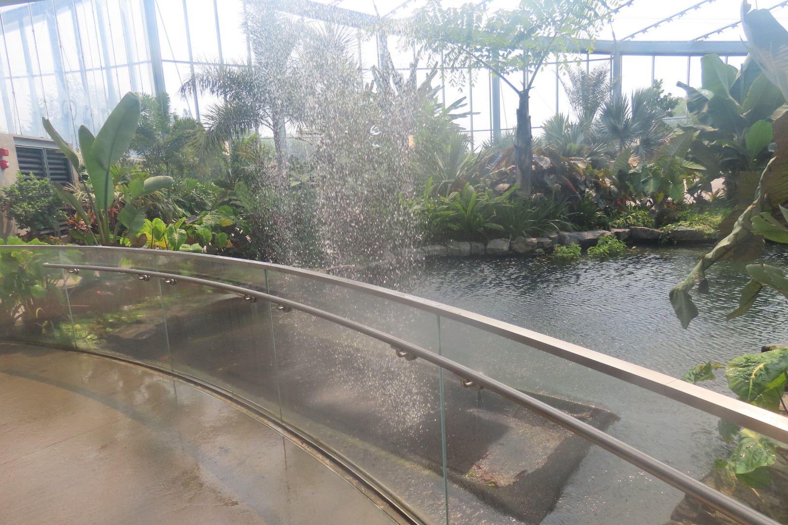 Assinibone Park The Leaf Biomes in Winnepeg Manitoba Canada  3 of 26 (#6294)