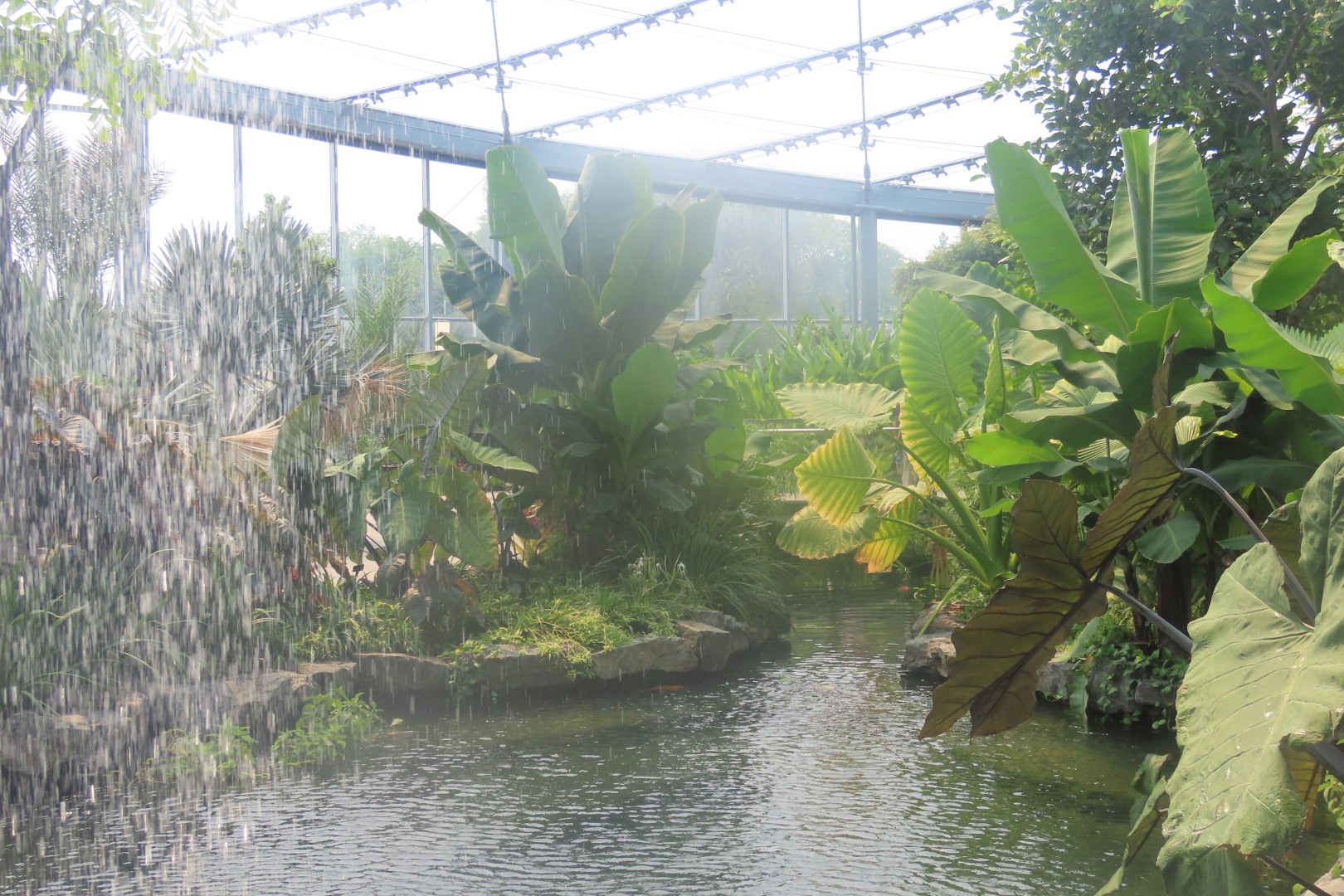 Assinibone Park The Leaf Biomes in Winnepeg Manitoba Canada  4 of 26 (#6295)