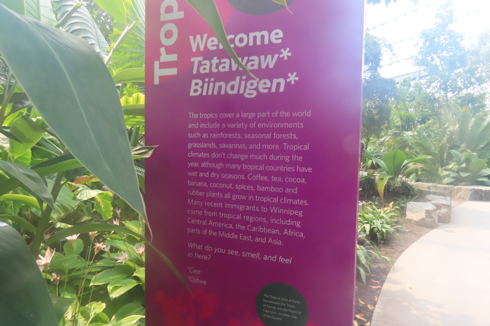 Assinibone Park The Leaf Biomes in Winnepeg Manitoba Canada  5 of 26 (#6296)