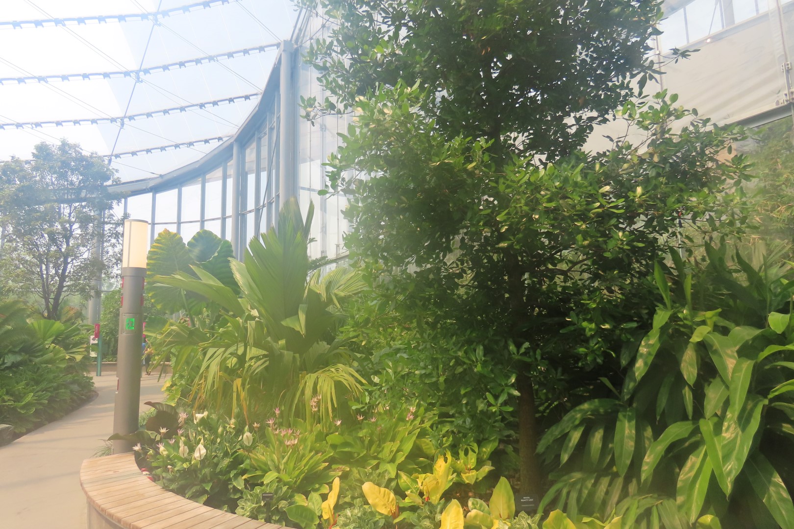 Assinibone Park The Leaf Biomes in Winnepeg Manitoba Canada  6 of 26 (#6297)