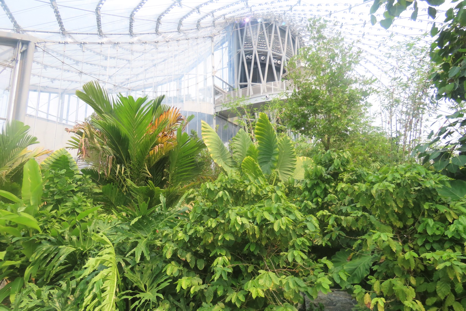 Assinibone Park The Leaf Biomes in Winnepeg Manitoba Canada 10 of 26 (#6301)