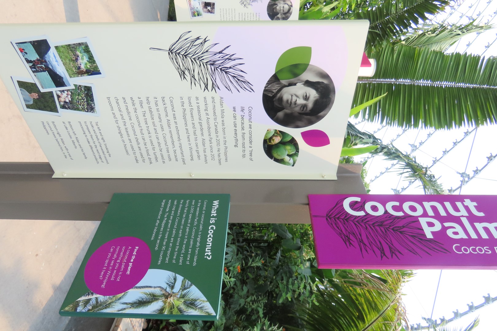 Assinibone Park The Leaf Biomes in Winnepeg Manitoba Canada 11 of 26 (#6302)