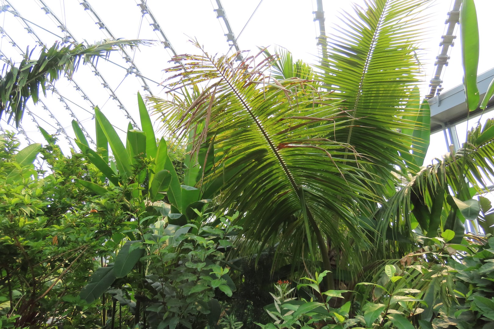 Assinibone Park The Leaf Biomes in Winnepeg Manitoba Canada 12 of 26 (#6303)