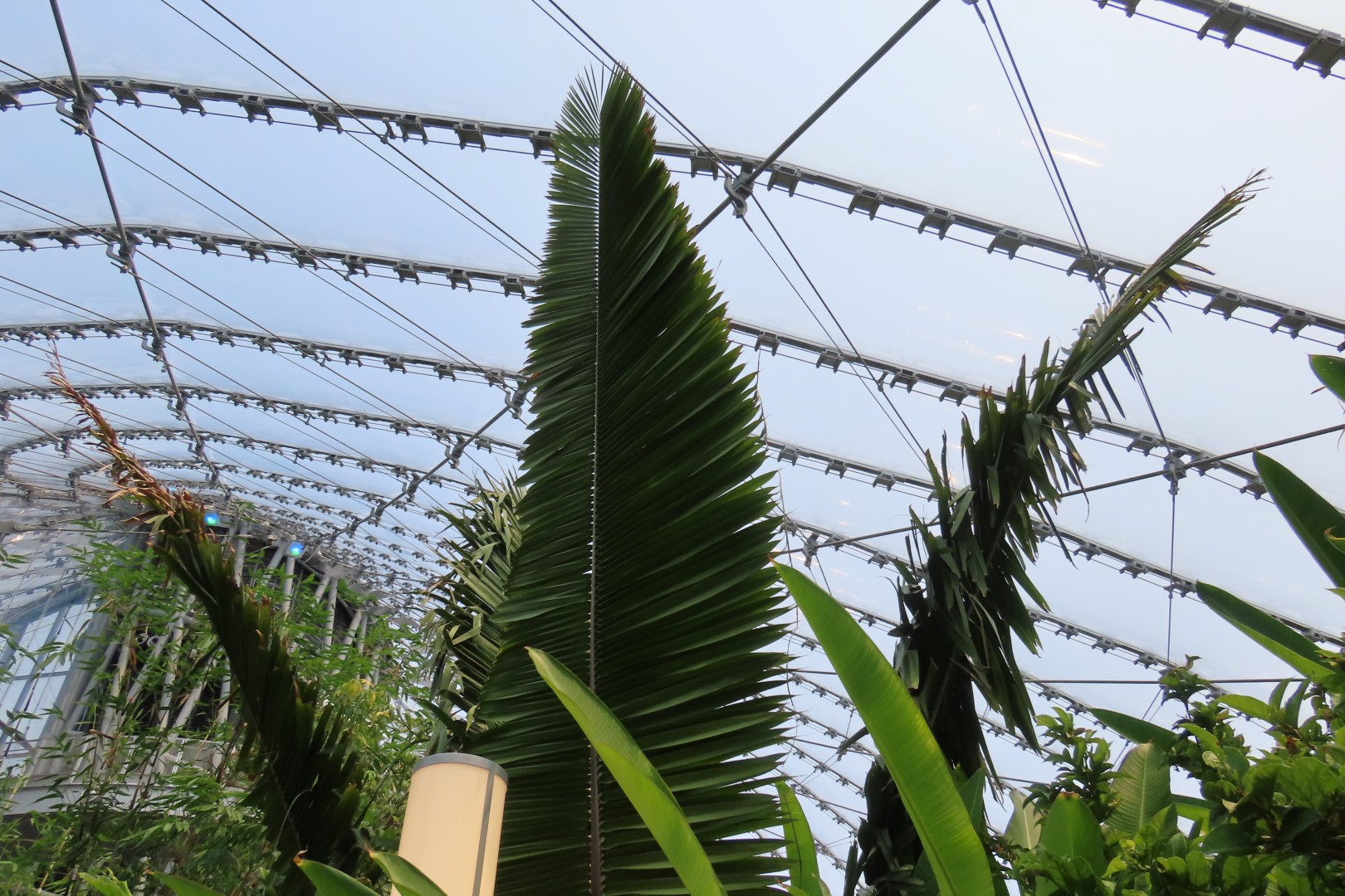 Assinibone Park The Leaf Biomes in Winnepeg Manitoba Canada 13 of 26 (#6304)