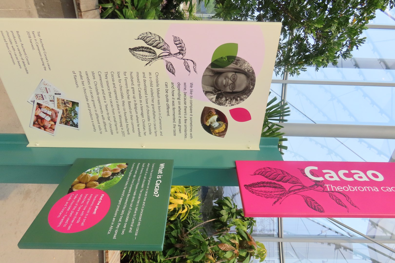 Assinibone Park The Leaf Biomes in Winnepeg Manitoba Canada 14 of 26 (#6305)