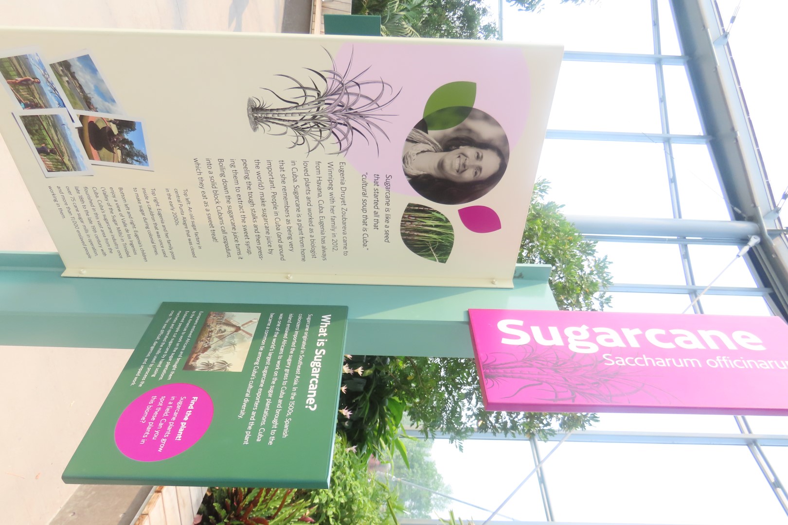 Assinibone Park The Leaf Biomes in Winnepeg Manitoba Canada 15 of 26 (#6306)