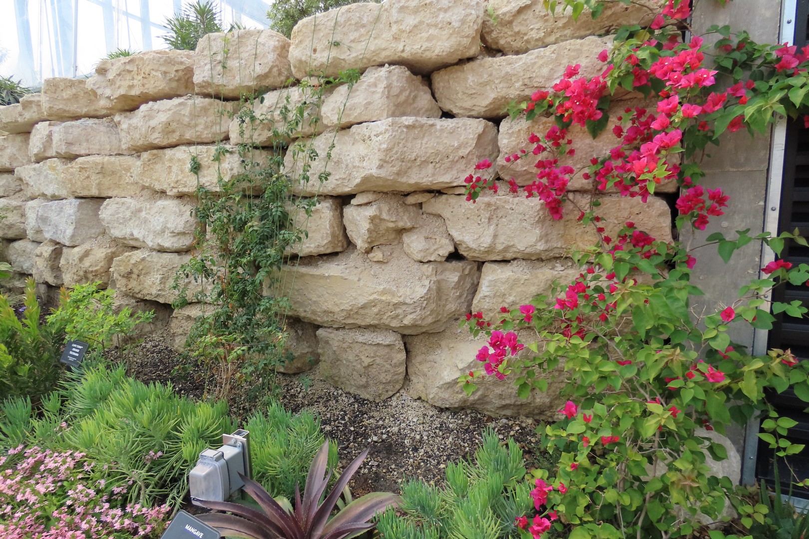 Assinibone Park The Leaf Biomes in Winnepeg Manitoba Canada 19 of 26 (#6310)