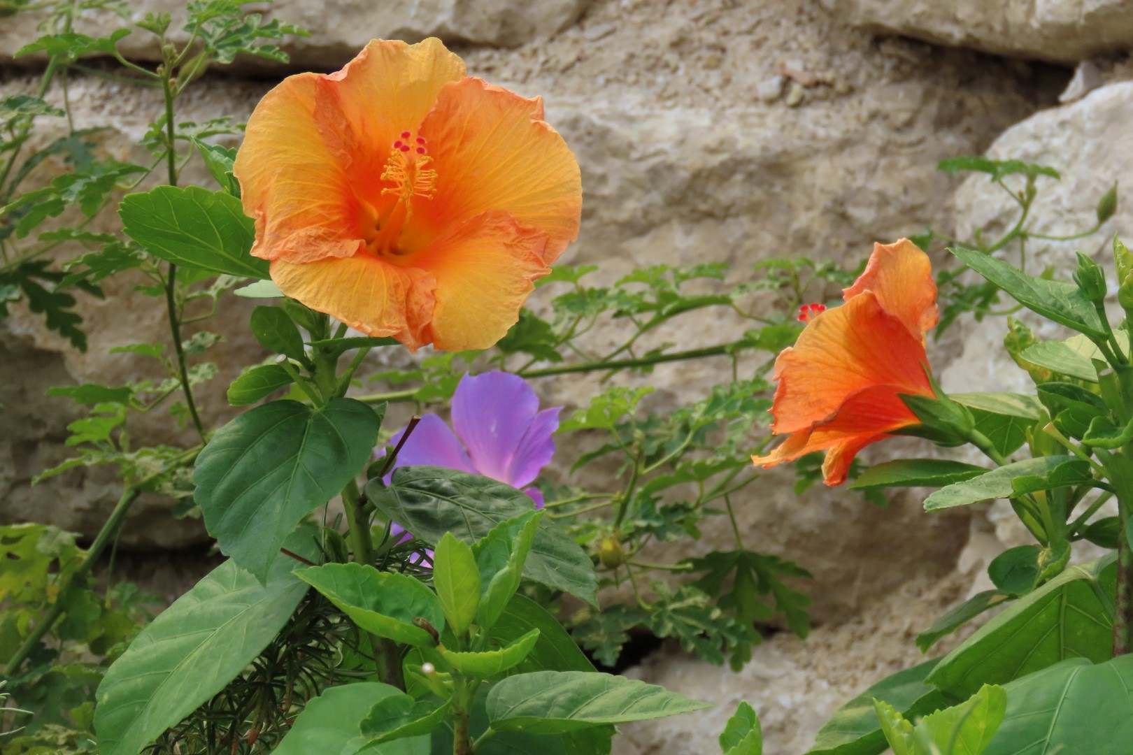 Assinibone Park The Leaf Biomes in Winnepeg Manitoba Canada 20 of 26 (#6311)