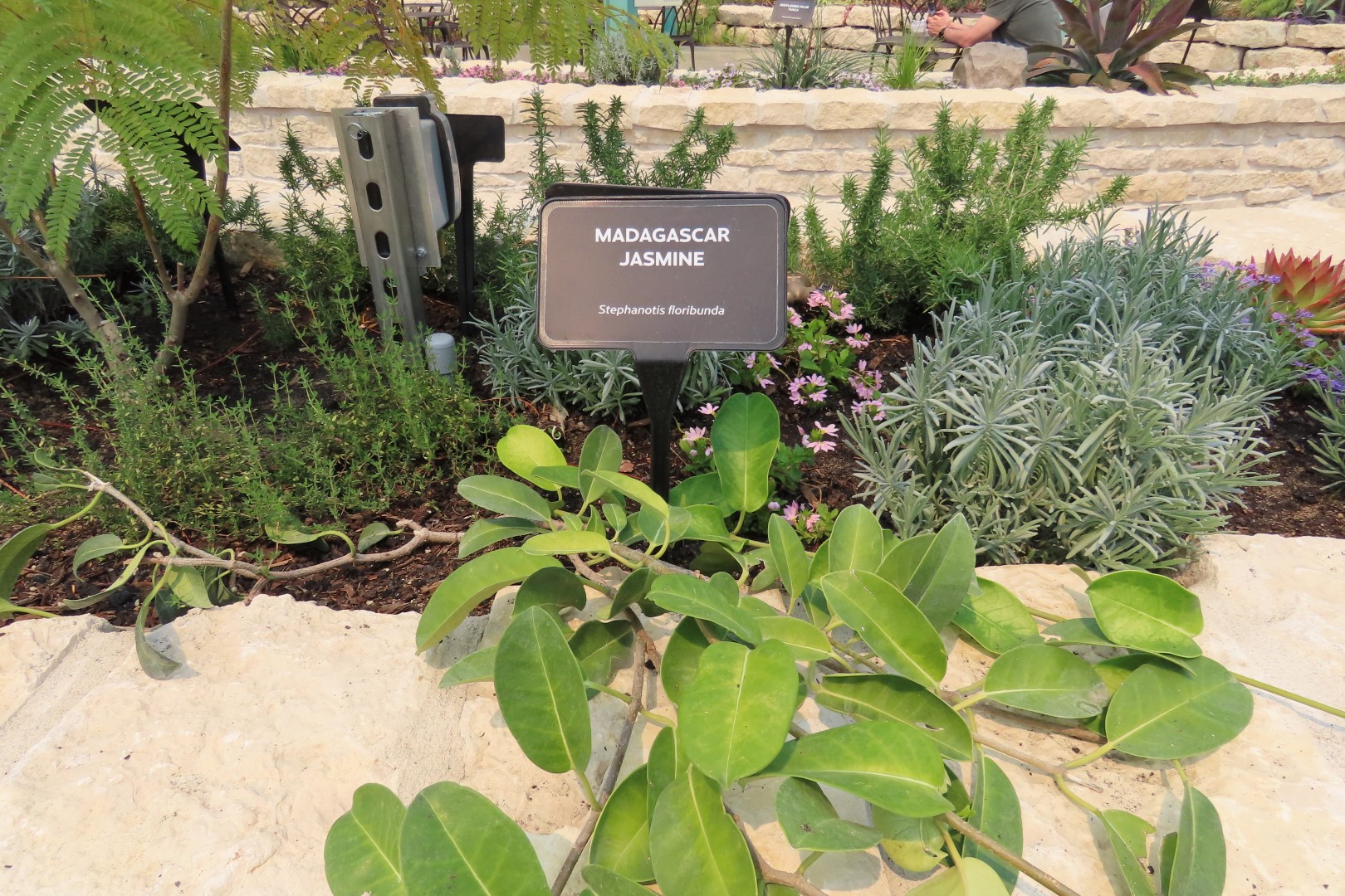 Assinibone Park The Leaf Biomes in Winnepeg Manitoba Canada 21 of 26 (#6312)