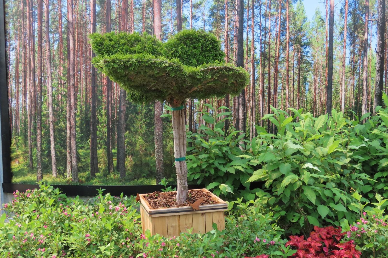 Assinibone Park The Leaf Biomes in Winnepeg Manitoba Canada 24 of 26 (#6315)