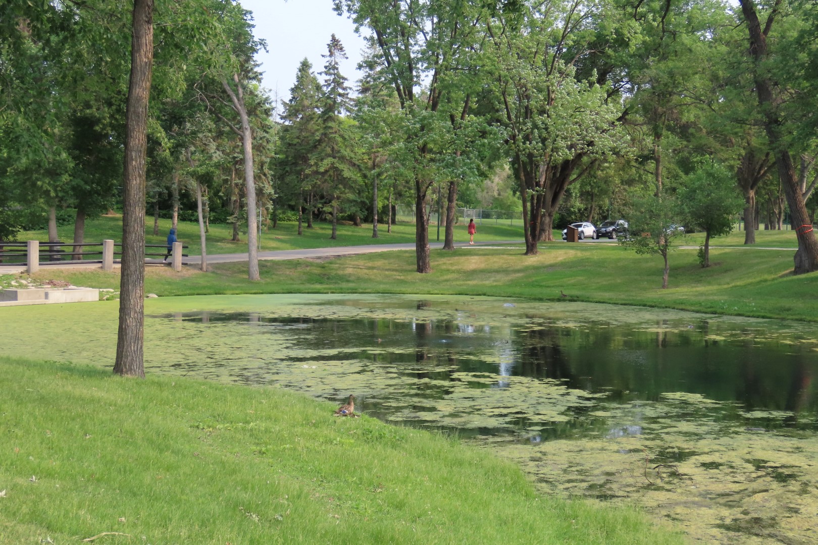 Kildonan Park in Winnepeg Manitoba Canada  4 of 22 (#6323)