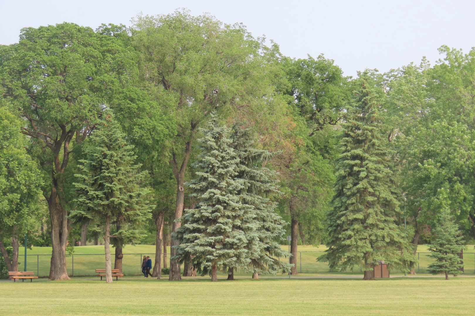 Kildonan Park in Winnepeg Manitoba Canada 16 of 22 (#6335)