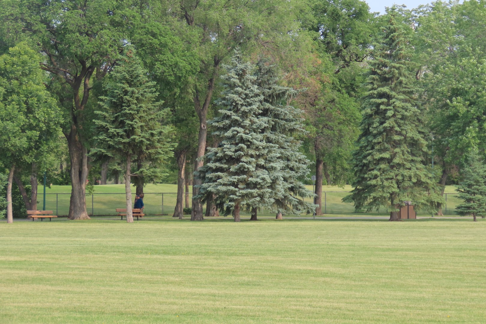 Kildonan Park in Winnepeg Manitoba Canada 17 of 22 (#6336)