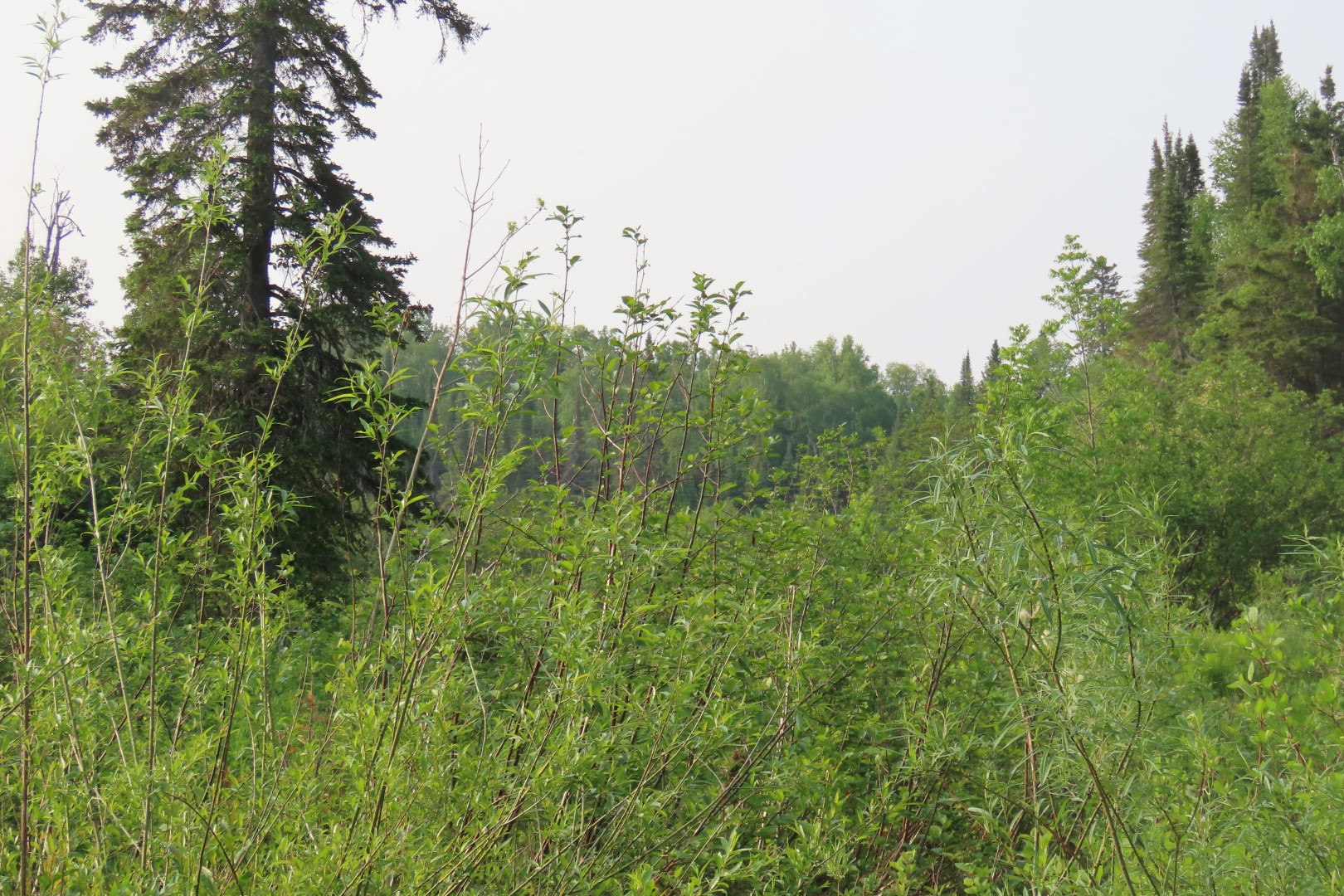 Grand Portage National Monument in Minnesota  9 of 23 (#6397)