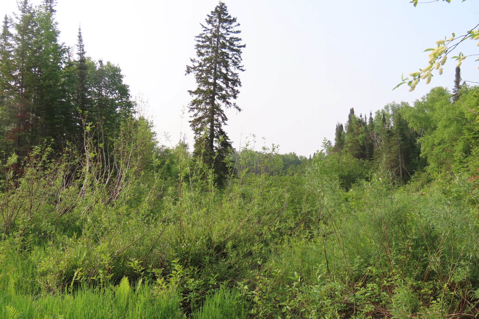 Grand Portage National Monument in Minnesota 10 of 23 (#6398)