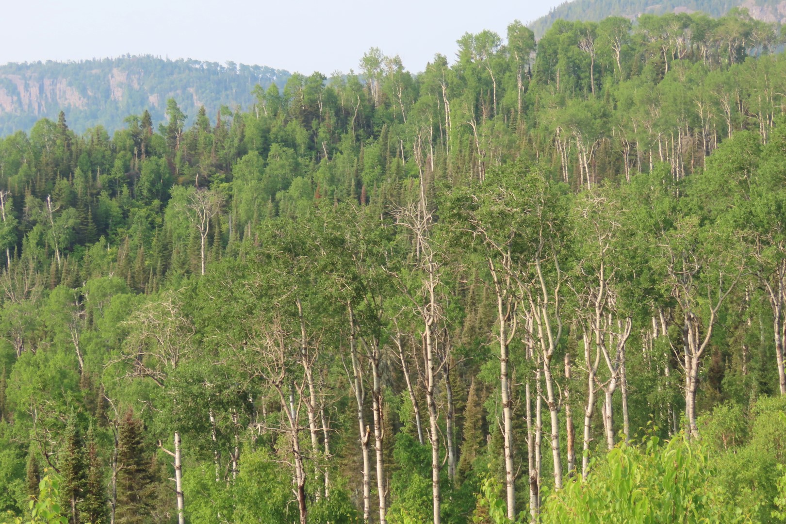 Grand Portage Lookout Points North and South over Lake Superior in Minnesota  8 of 17 (#6421)