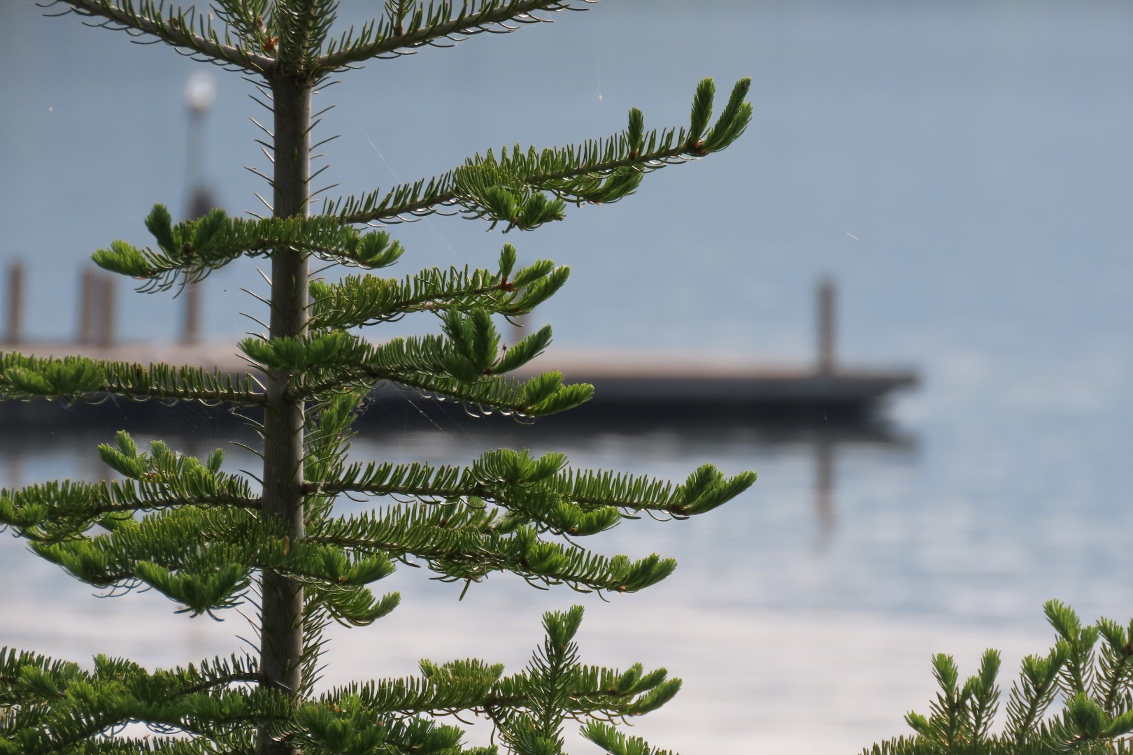 Grand Portage National Monument in Minnesota 10 of 35 (#6438)