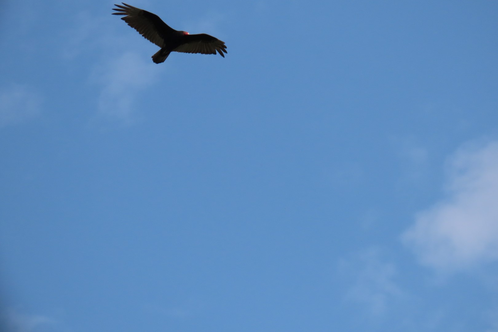 Grand Portage National Monument in Minnesota 24 of 35 (#6452)