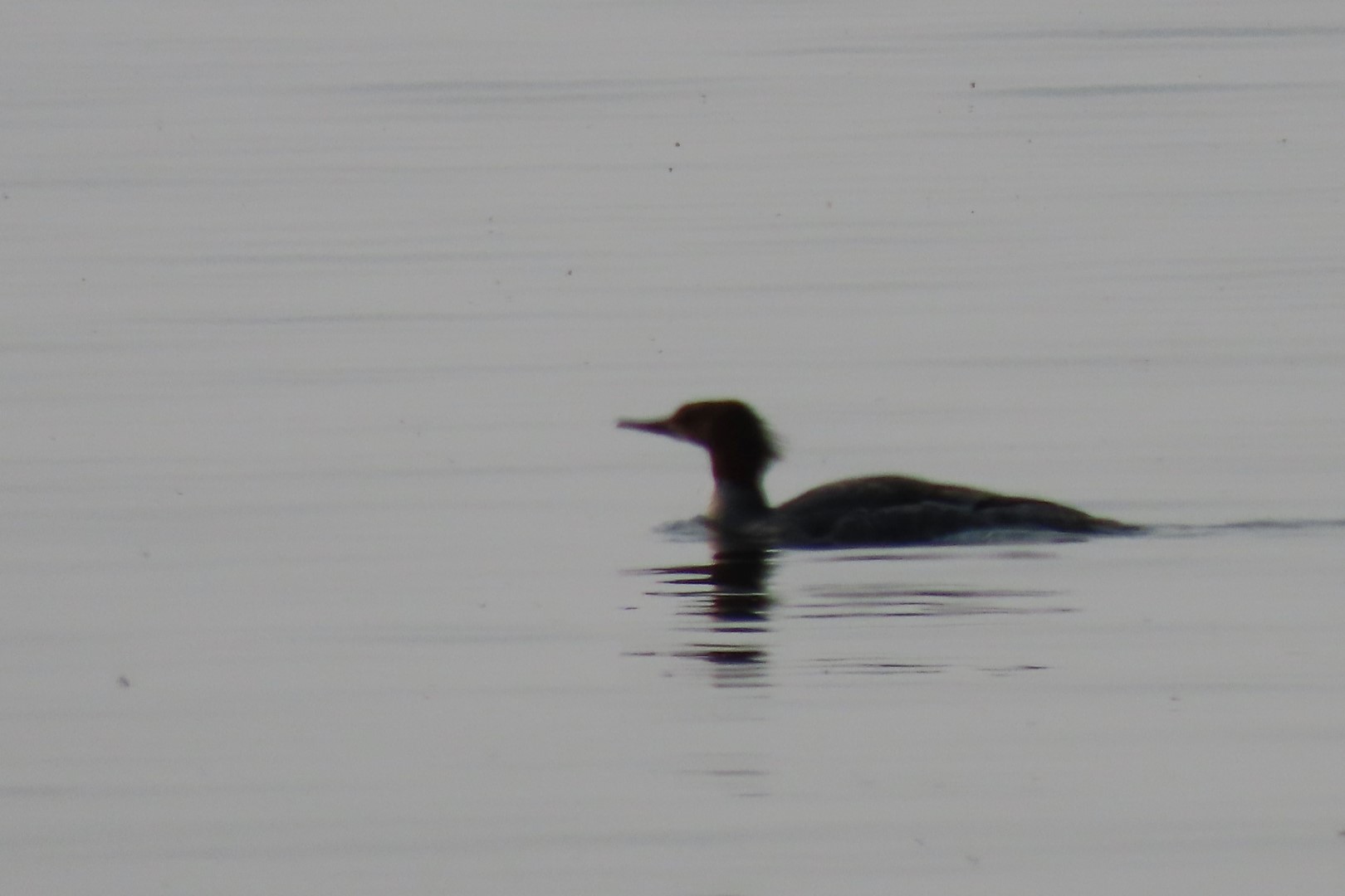 Grand Portage National Monument in Minnesota 26 of 35 (#6454)