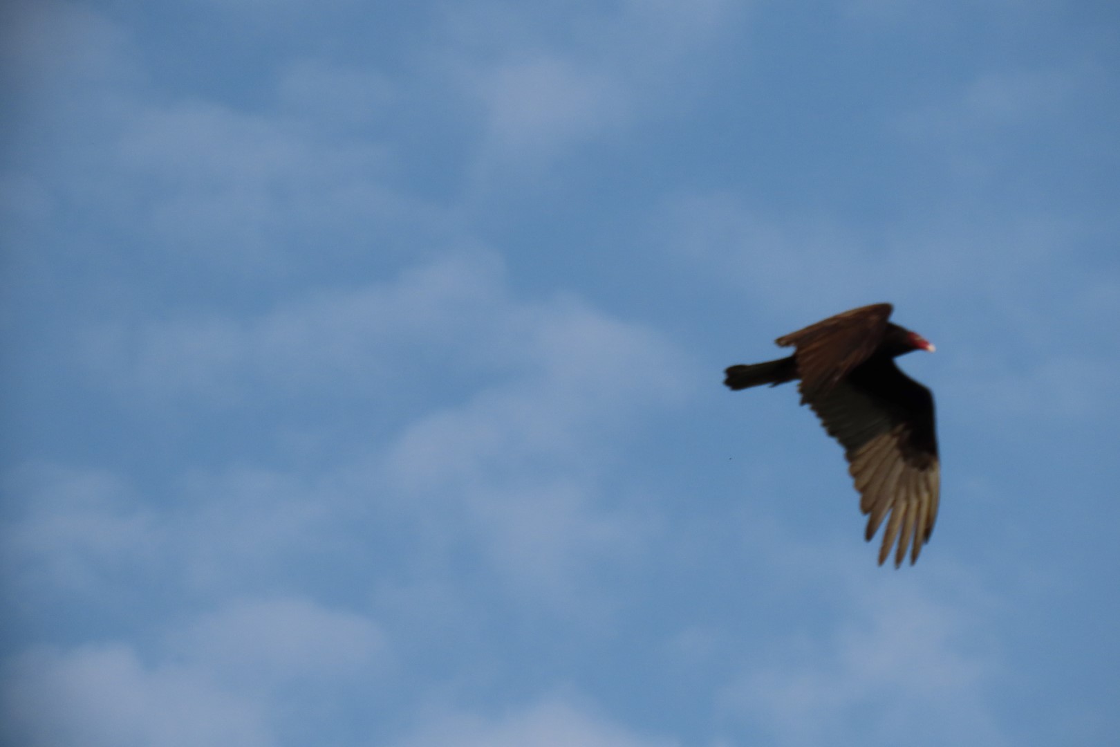 Grand Portage National Monument in Minnesota 28 of 35 (#6456)